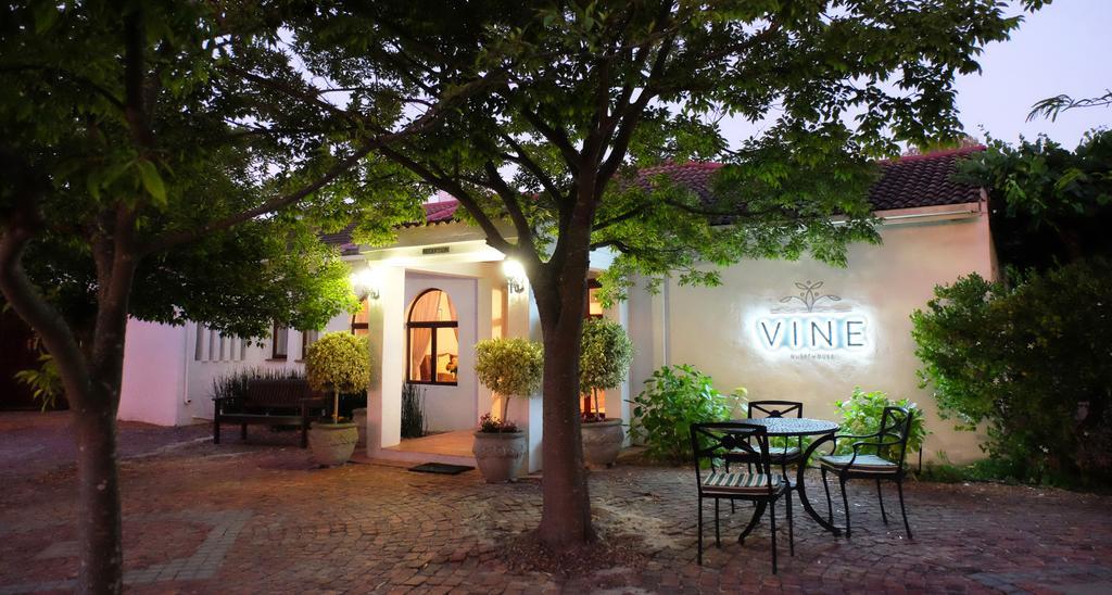 Vine Guesthouse Стеленбош Екстериор снимка
