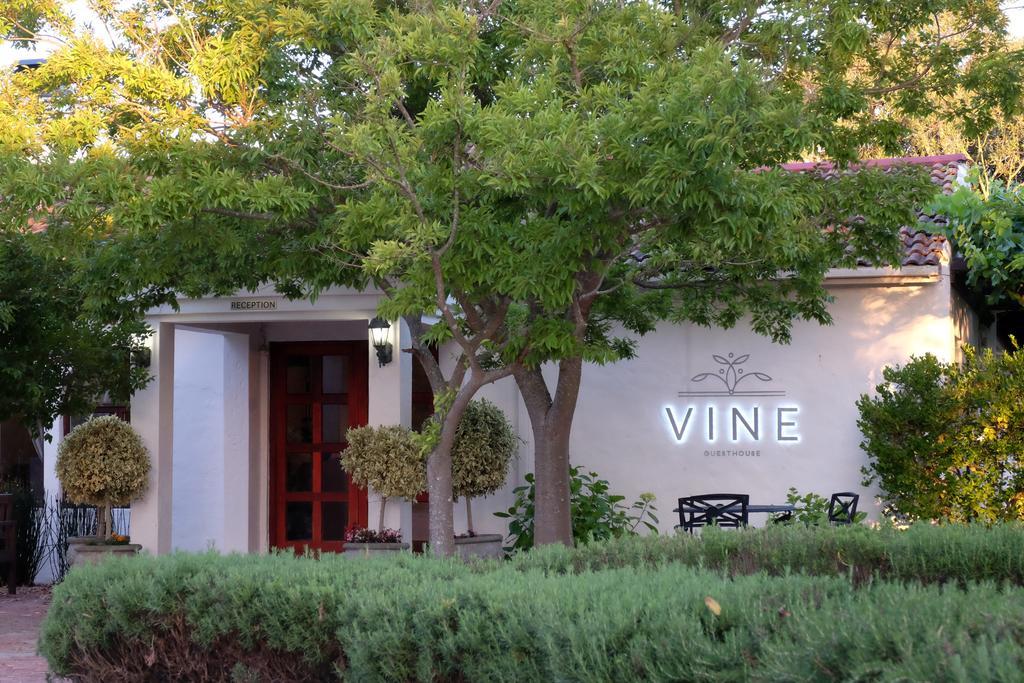 Vine Guesthouse Стеленбош Екстериор снимка