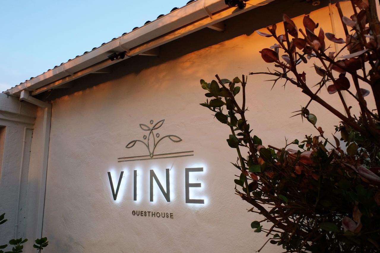 Vine Guesthouse Стеленбош Екстериор снимка